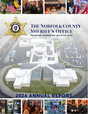 annualreport2024-300-387